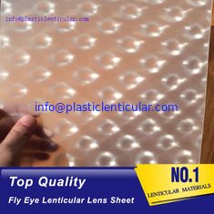China PLASTIC LENTICULAR clear fly-eye plastic sheet fly eye lens film material with 360 3d effect supplier