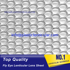 China PLASTIC LENTICULAR 80lpi 0.45mm dot lens sheet fly eye lenticular sheet 360 3d dot lens lenticular material supplier