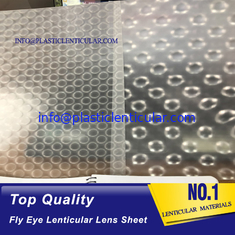 China PLASTIC LENTICULAR Super transparent fly eye lenticular lens sheet 360 3d microlens film arrays supplier