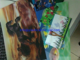China Good price 3D animal picture animation 3D lenticular animal photo promotional gift PET lenticular cards flip 3D picture supplier