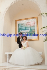 China PLASTIC LENTICULAR customized plastic material 3d lenticular wedding photo with depth 3d moving effects supplier