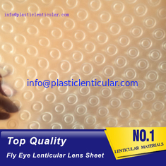 China PLASTIC LENTICULAR 3d 360 fly eye lens sheet fly eye lenticular sheet arrays with small dots supplier