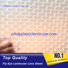China PLASTIC LENTICULAR 3d 360 degrees fly eye film plastic lenticular fly eye lens sheet material with image supplier