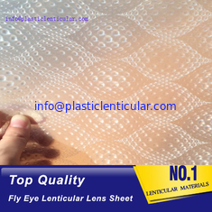 China PLASTIC LENTICULAR fly eye lens array pp 3d led light guide film lenticular honeycomb array supplier