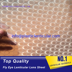 China PLASTIC LENTICULAR flys eye 3d plastic sheet double sides 0.5mm fly-eye lenticular lenses sheet supplier