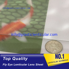 China PLASTIC LENTICULAR 17 lpi 3d fly eye lenticulars lens sheet PS dot lenticular lenses material supplier