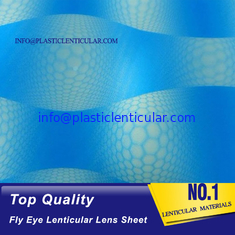 China PLASTIC LENTICULAR 360 3d Lenticular sheet fly eye lens buy online-80 lpi Lenticular sheet fly eye manufacturer india supplier