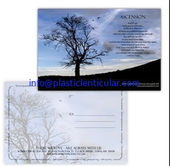 China PLASTIC LENTICULAR lenticular postcard cost pp pet 3d printing lenticular postcard 3d postcards for sale supplier