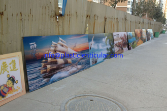 China PLASTIC LENTICULAR 3D motions effect flip photo decoration lenticular photo with 3d pet lenticular supplier