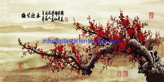 China PLASTIC LENTICULAR custom 3d plastic picture pet 3d lenticular lens sheets printing supplier