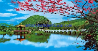 China PLASTIC LENTICULAR beautiful flower 3d picture pet lenticular lens home decor wall picture 3d prints supplier