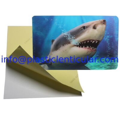 PLASTIC LENTICULAR Customize 3D lenticular sticker with self adhesive back-plastic flip lenticular printing stickers supplier