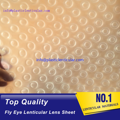 PLASTIC LENTICULAR fly eye lens microlens film sheet 3d plastic lenticular lens material for 3d lenticular printing supplier