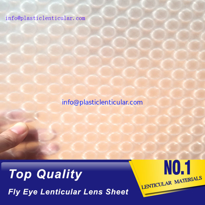 PLASTIC LENTICULAR clear pp microlens film dot lenticular sheet for 3d LED diffuser supplier