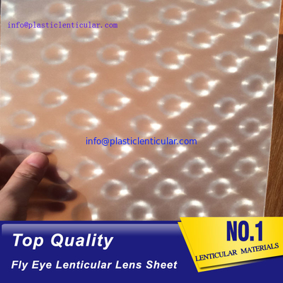 PLASTIC LENTICULAR fly eye lenticular sheet fly eye lens array fly's eye lens sheets for 360 3d printing supplier