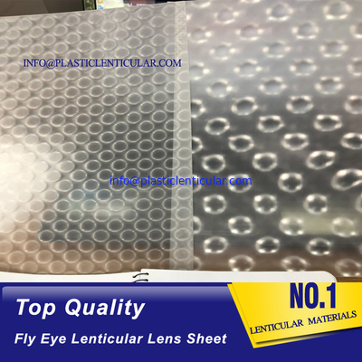 PLASTIC LENTICULAR fly eye lens microlens film sheet 3d plastic lenticular lens material for 3d lenticular printing supplier