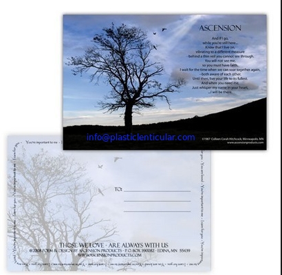 PLASTIC LENTICULAR 3d changing motion lenticular effect postcard lenticular printing supplier