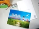 PLASTIC LENTICULAR 3D postcards plant flip effect lenticular postcards 3 views changing postcards prints supplier