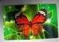 PLASTIC LENTICULAR cheap lenticular animated printing pet 3d cards supplier