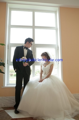 PLASTIC LENTICULAR 3d effect wedding photo 3d lenticular photo printing for home decoration supplier