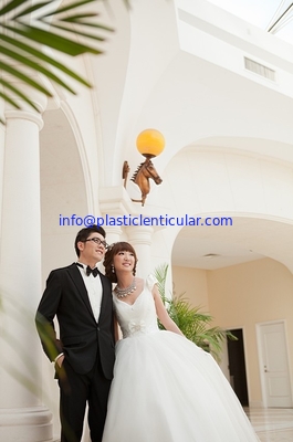 PLASTIC LENTICULAR 3d effect wedding photo 3d lenticular photo printing for home decoration supplier