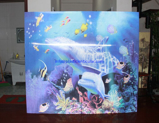 PLASTIC LENTICULAR 3D motions effect flip photo decoration lenticular photo with 3d pet lenticular supplier