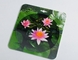 PLASTIC LENTICULAR 3D lenticular surface EVA base materical mouse pad printing pp 3d mouse pad lenticular printing supplier