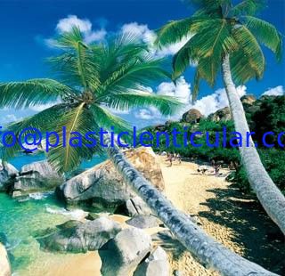 Home Decoration 3d 5d Lenticular Pictures offset printing 3d PET printing Package with all Commodity supplier