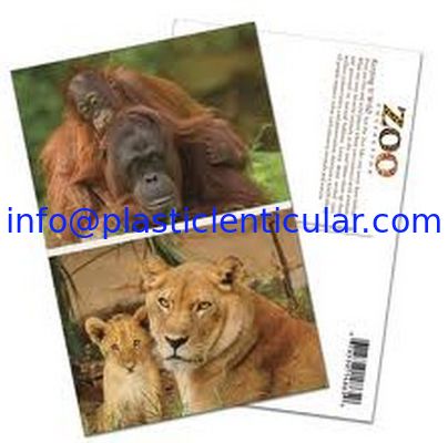 PLASTIC LENTICULAR custom holographic postcards 3d hologram postcards animated flip lenticular postcard uk