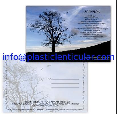 PLASTIC LENTICULAR lenticular postcard cost pp pet 3d printing lenticular postcard 3d postcards for sale